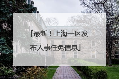最新！上海一区发布人事任免信息