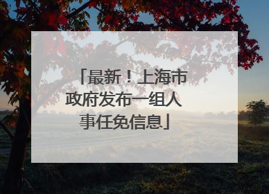 最新！上海市政府发布一组人事任免信息