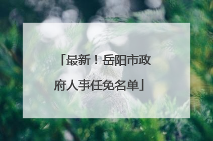 最新！岳阳市政府人事任免名单