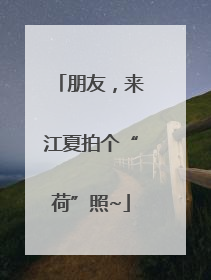 朋友，来江夏拍个“荷”照~
