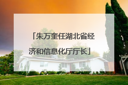 朱万奎任湖北省经济和信息化厅厅长