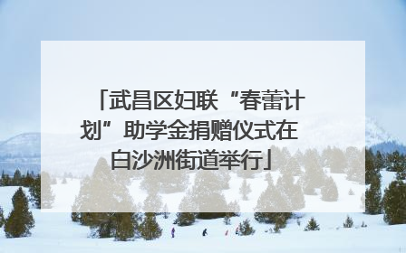 武昌区妇联“春蕾计划”助学金捐赠仪式在白沙洲街道举行
