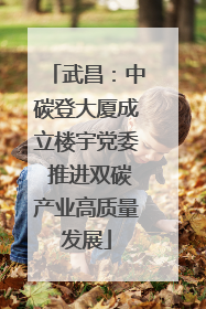 武昌：中碳登大厦成立楼宇党委 推进双碳产业高质量发展