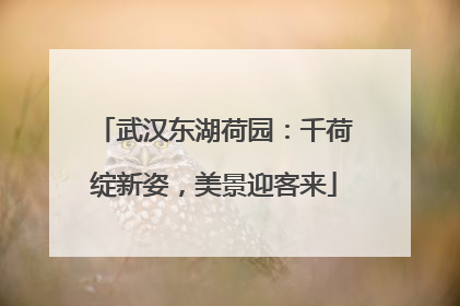 武汉东湖荷园：千荷绽新姿，美景迎客来