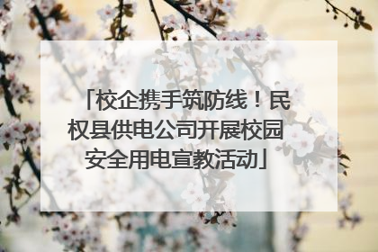 校企携手筑防线！民权县供电公司开展校园安全用电宣教活动
