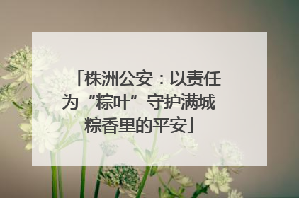 株洲公安：以责任为“粽叶”守护满城粽香里的平安