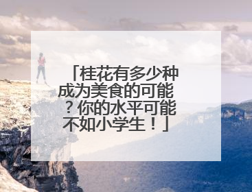 桂花有多少种成为美食的可能？你的水平可能不如小学生！