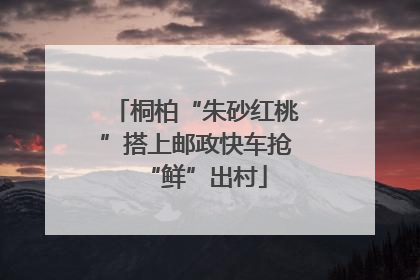 桐柏“朱砂红桃”搭上邮政快车抢“鲜”出村