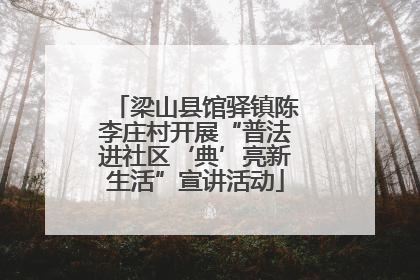梁山县馆驿镇陈李庄村开展“普法进社区‘典’亮新生活”宣讲活动