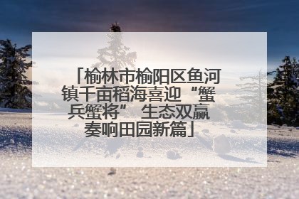 榆林市榆阳区鱼河镇千亩稻海喜迎“蟹兵蟹将” 生态双赢奏响田园新篇