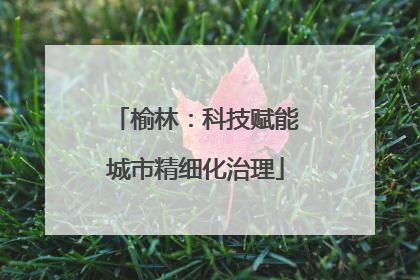 榆林：科技赋能城市精细化治理