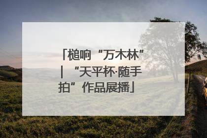 槌响“万木林”｜“天平杯·随手拍”作品展播