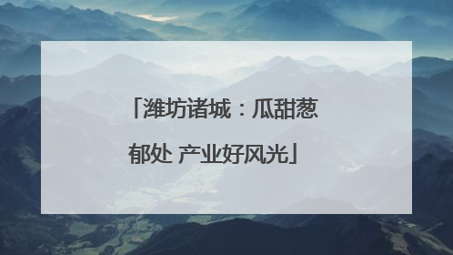 潍坊诸城：瓜甜葱郁处 产业好风光
