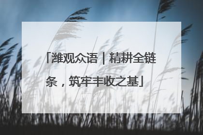 潍观众语｜精耕全链条，筑牢丰收之基
