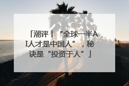 潮评丨“全球一半AI人才是中国人”，秘诀是“投资于人”