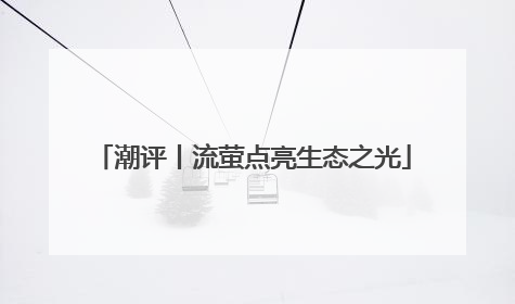 潮评丨流萤点亮生态之光