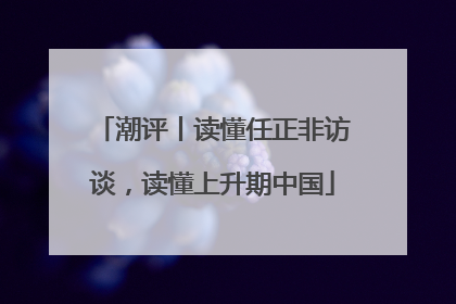 潮评丨读懂任正非访谈，读懂上升期中国