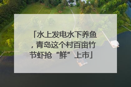 水上发电水下养鱼，青岛这个村百亩竹节虾抢“鲜”上市