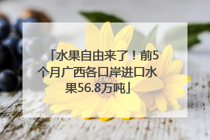 水果自由来了！前5个月广西各口岸进口水果56.8万吨