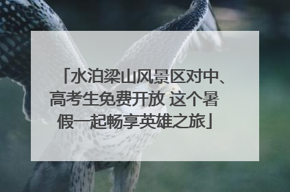 水泊梁山风景区对中、高考生免费开放 这个暑假一起畅享英雄之旅