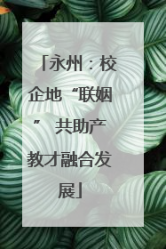 永州：校企地“联姻” 共助产教才融合发展