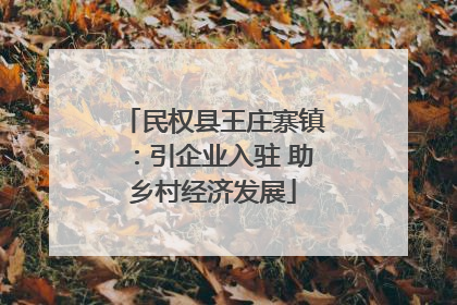 民权县王庄寨镇：引企业入驻 助乡村经济发展
