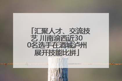汇聚人才、交流技艺 川南渝西近300名选手在酒城泸州展开技能比拼