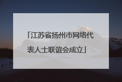 江苏省扬州市网络代表人士联谊会成立