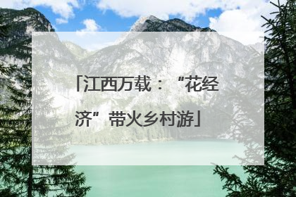 江西万载：“花经济”带火乡村游