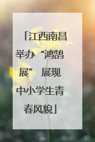 江西南昌举办“鸿鹄展” 展现中小学生青春风貌