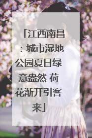 江西南昌：城市湿地公园夏日绿意盎然 荷花渐开引客来