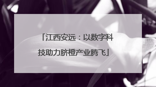 江西安远：以数字科技助力脐橙产业腾飞