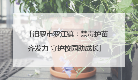 汨罗市罗江镇：禁毒护苗齐发力 守护校园助成长