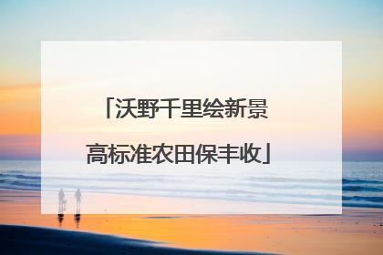 沃野千里绘新景 高标准农田保丰收