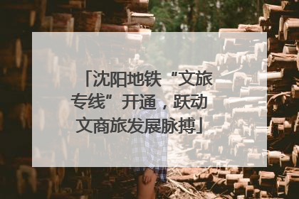 沈阳地铁“文旅专线”开通，跃动文商旅发展脉搏