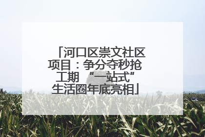 河口区崇文社区项目：争分夺秒抢工期 “一站式”生活圈年底亮相