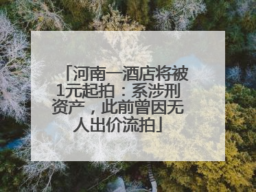 河南一酒店将被1元起拍：系涉刑资产，此前曾因无人出价流拍