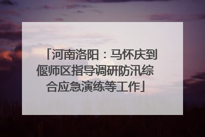 河南洛阳：马怀庆到偃师区指导调研防汛综合应急演练等工作