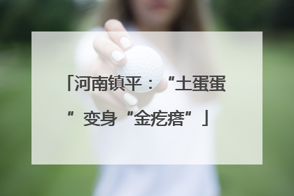 河南镇平：“土蛋蛋”变身“金疙瘩”