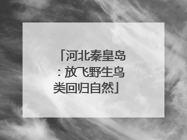 河北秦皇岛：放飞野生鸟类回归自然