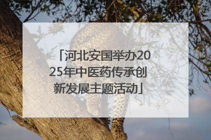 河北安国举办2025年中医药传承创新发展主题活动
