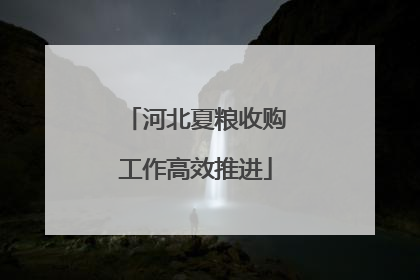 河北夏粮收购工作高效推进