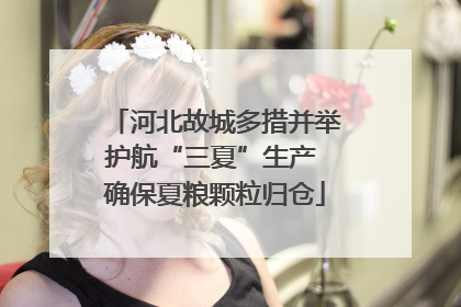 河北故城多措并举护航“三夏”生产 确保夏粮颗粒归仓