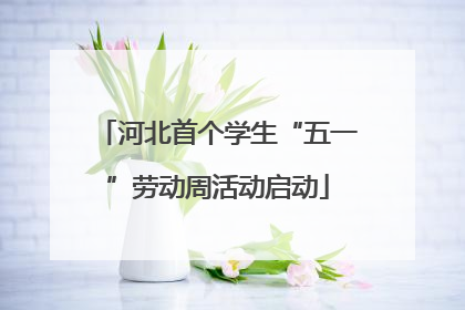 河北首个学生“五一”劳动周活动启动