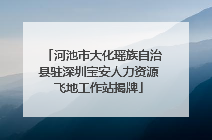 河池市大化瑶族自治县驻深圳宝安人力资源飞地工作站揭牌