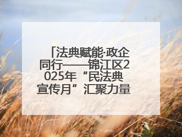 法典赋能·政企同行——锦江区2025年“民法典宣传月”汇聚力量 助推企业发展