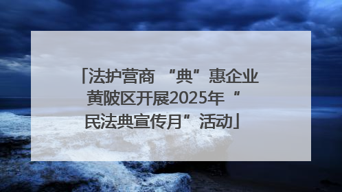 法护营商 “典”惠企业 黄陂区开展2025年“民法典宣传月”活动