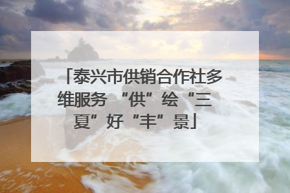 泰兴市供销合作社多维服务 “供”绘“三夏”好“丰”景