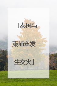 泰国与柬埔寨发生交火