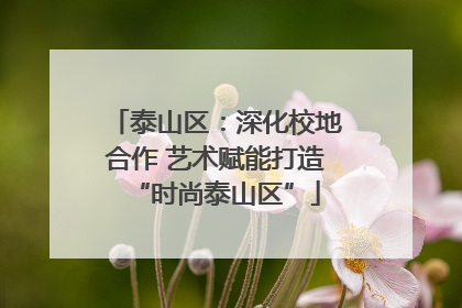 泰山区：深化校地合作 艺术赋能打造“时尚泰山区”
